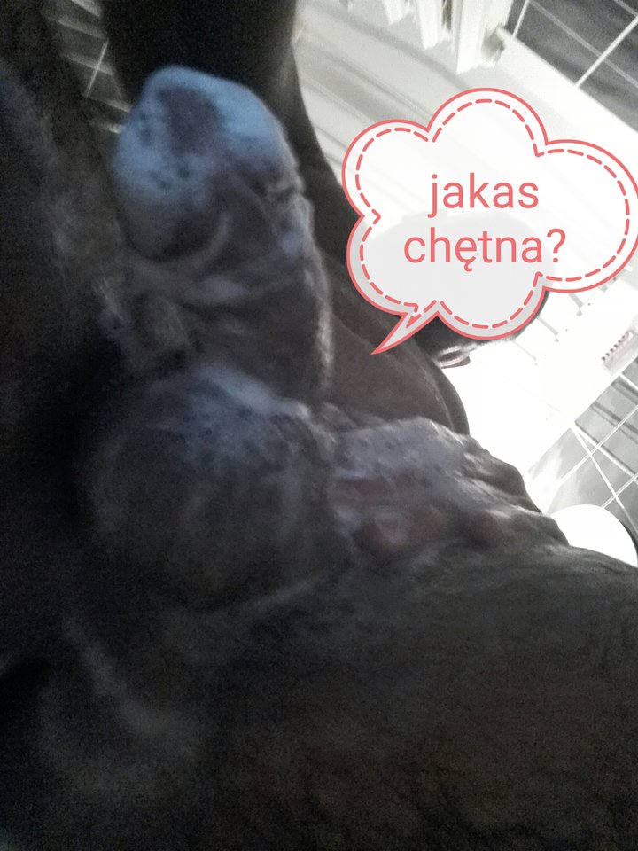 attach.jpg - Zdecydowani1202