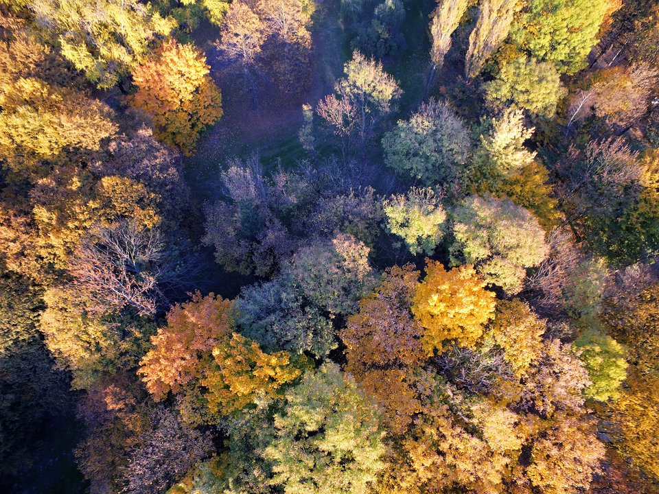 DJI_0251a.jpg - FoKam431