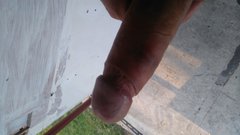 DSC_0101.JPG