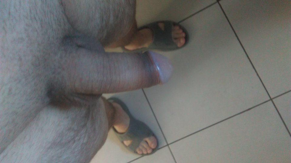 IMAG0274.jpg - SYLVO1979