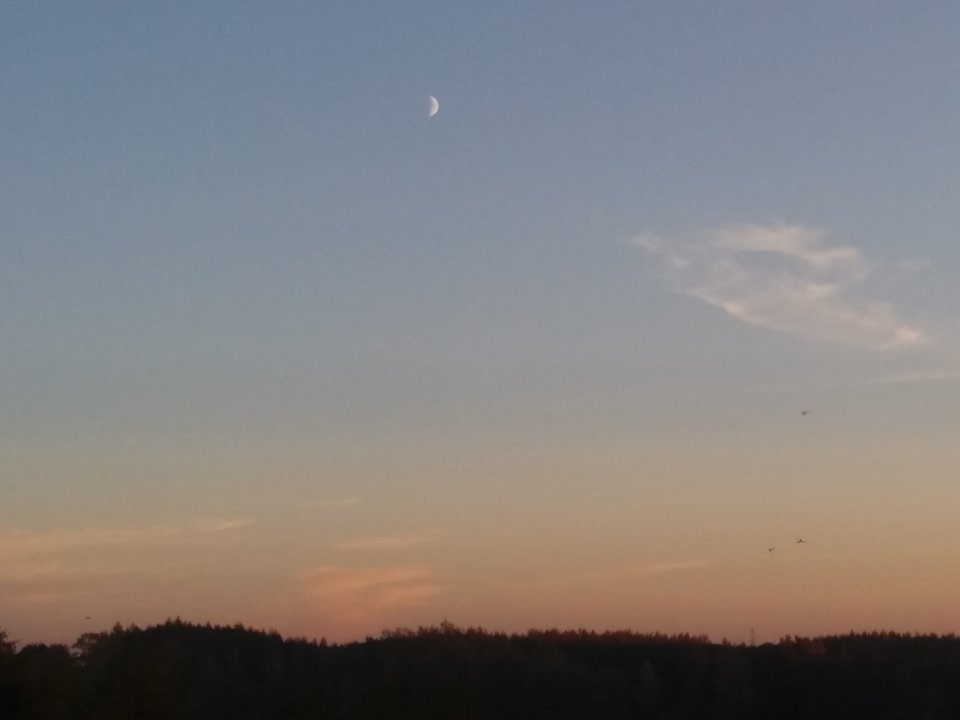 20181015_172012.jpg - teeo3