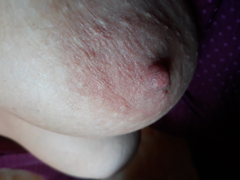 20181017_164857.jpg - brazowoniebiescy