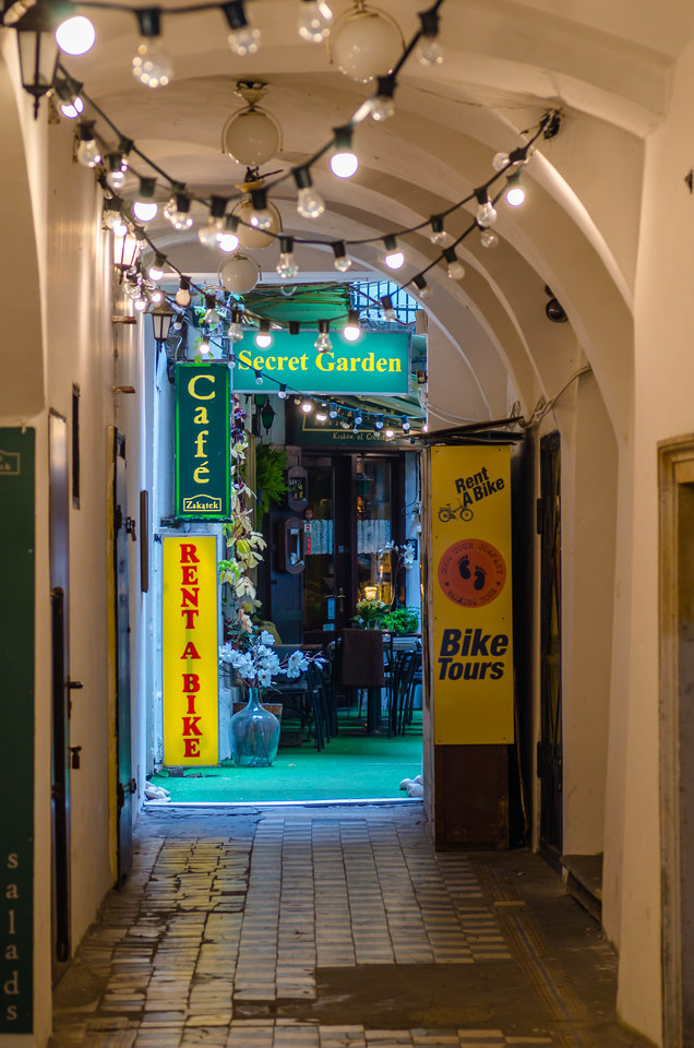 Zakątek z Sekretnym Ogrodem - mystic