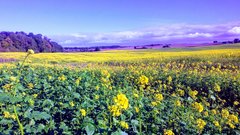 20180916_091411-EFFECTS.jpg