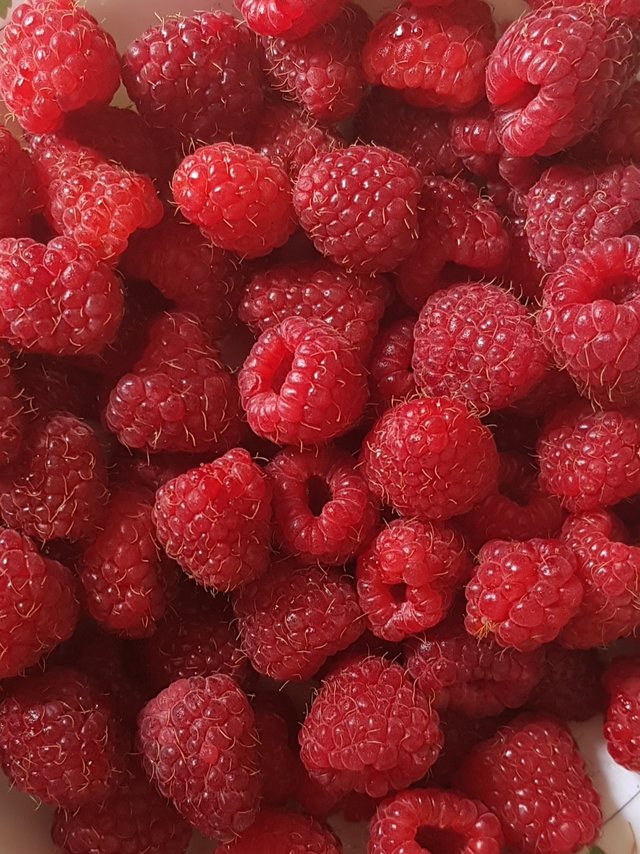 retrospekcja