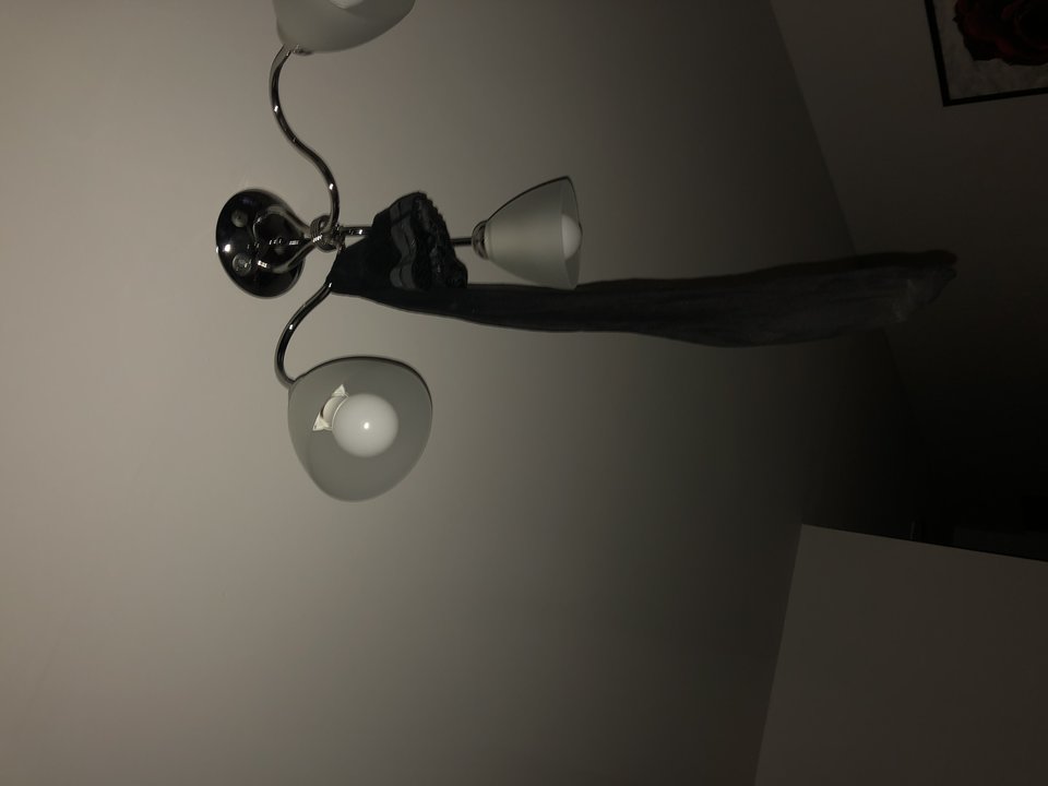 FC40176A-6358-4FD6-9E76-C95942B65D2F.jpeg - GrzeczniStrasznie