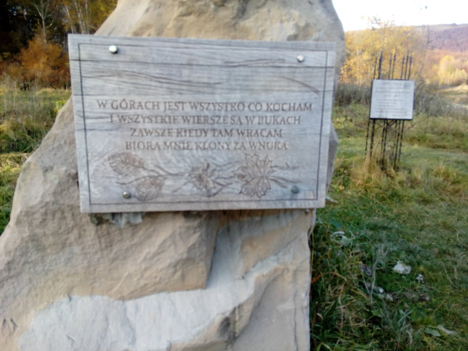 IMG_20181018_160345.jpg - demon13