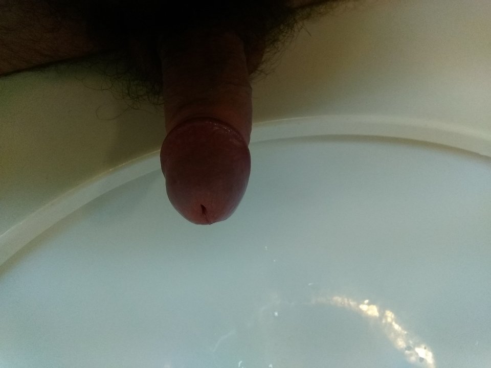 IMG_20181021_115647.jpg - Glus525