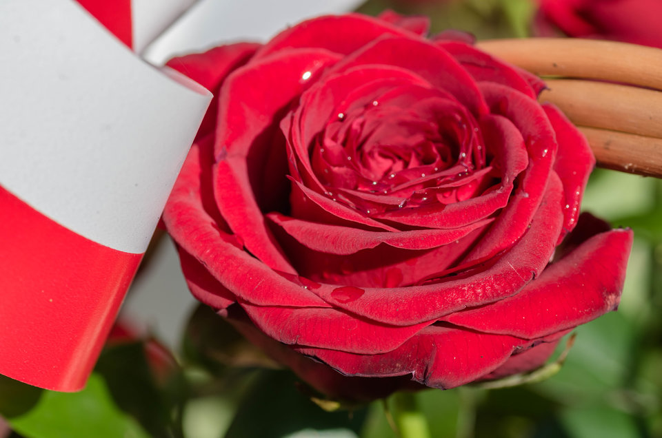 Patriotycznie - mystic