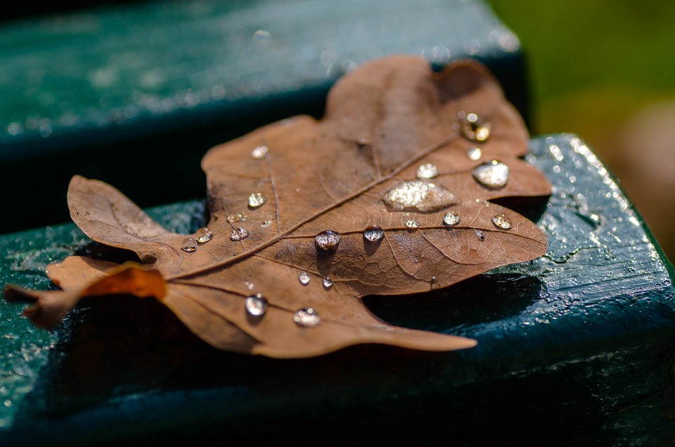 W jesiennym odcieniu - mystic