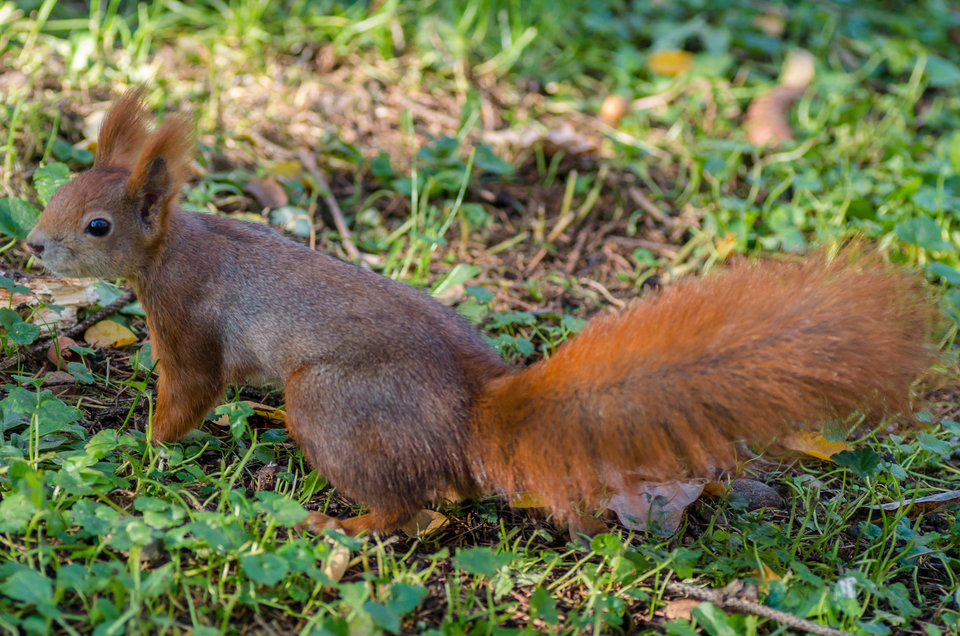 To ja już sobie pójdę :) - mystic