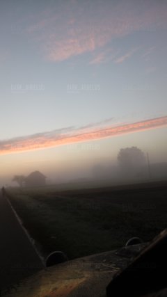 20181022_073210.jpg