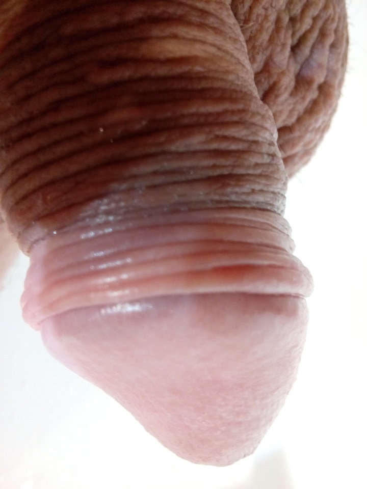 15403539220061091581808.jpg - matuzalem000