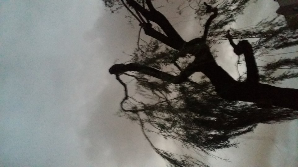 20181025_174918.jpg - pieszimowy