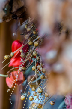 Tak mnie się spodobało