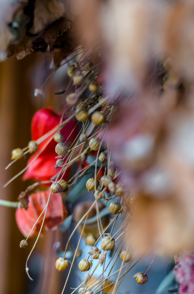 Tak mnie się spodobało - mystic