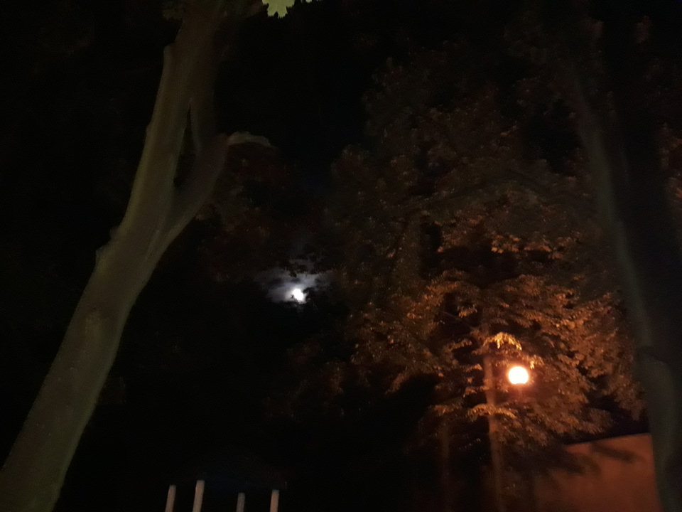 20171006_214957.jpg - A660