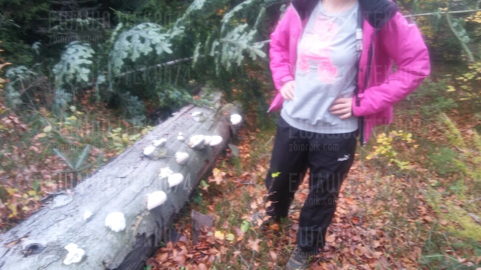 20181027_101253.jpg - ewawojtek8074