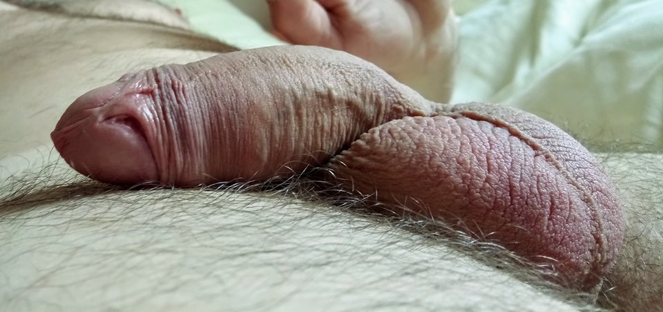 DSC_0692~2.JPG - artur42wawa