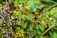 W oczekiwaniu na słoneczne dni