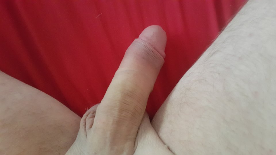 1540801655272146834068.jpg - zbynek543