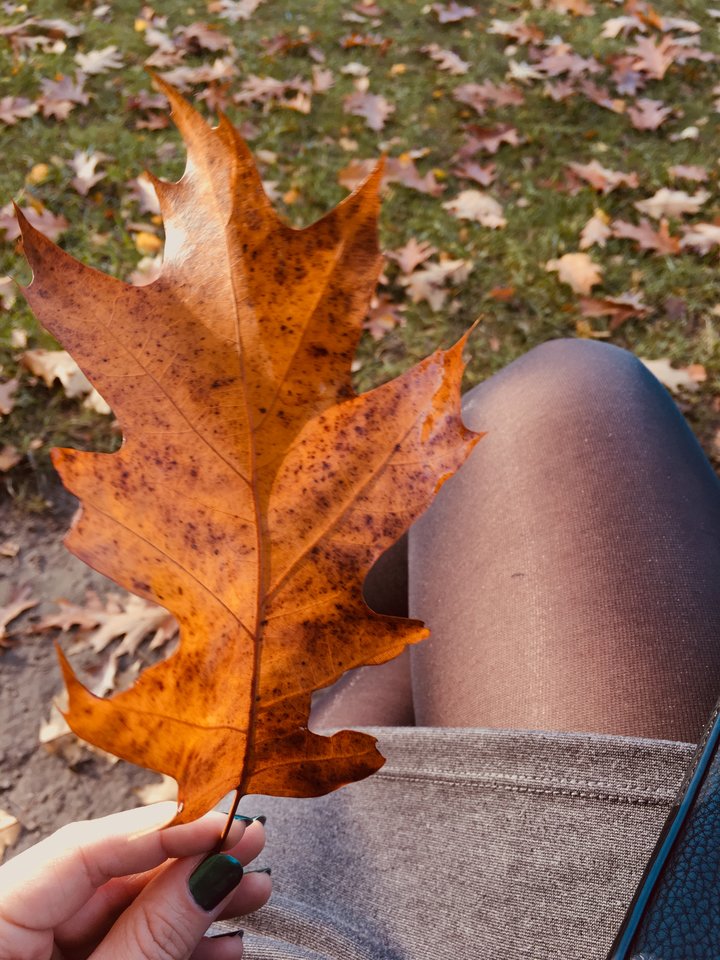 660609AB-415B-410F-A2B1-AE03BDBBF705.jpeg - aga_trans