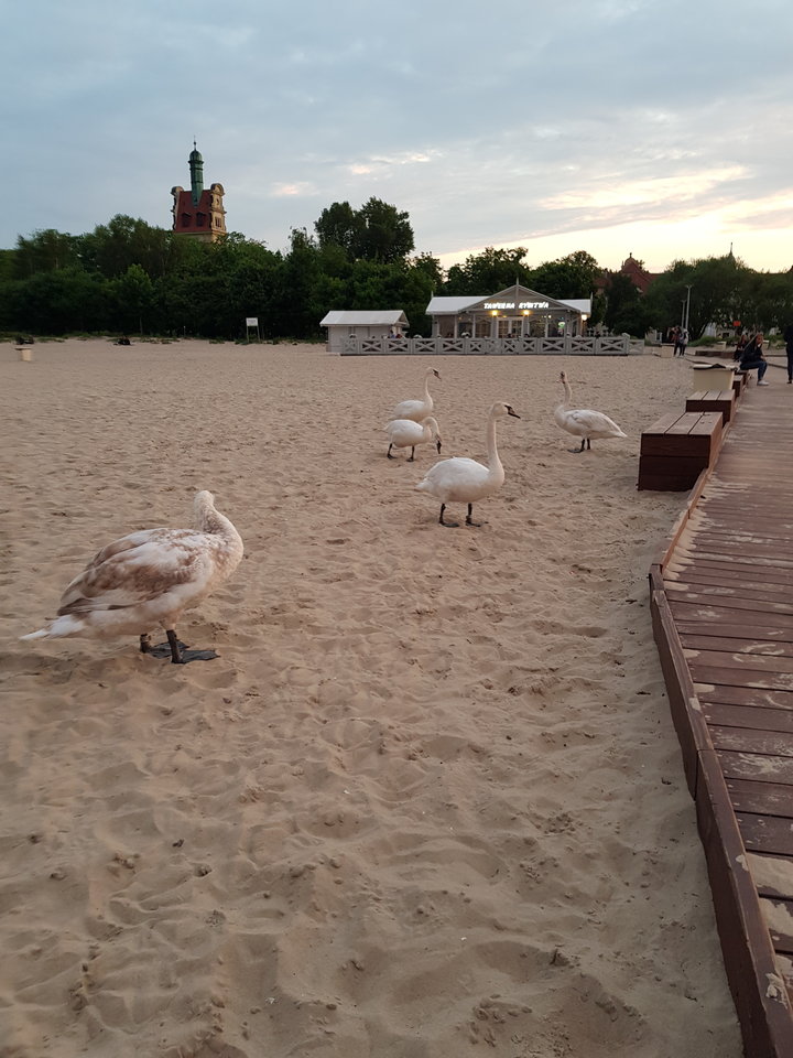 201.jpg - reporter13