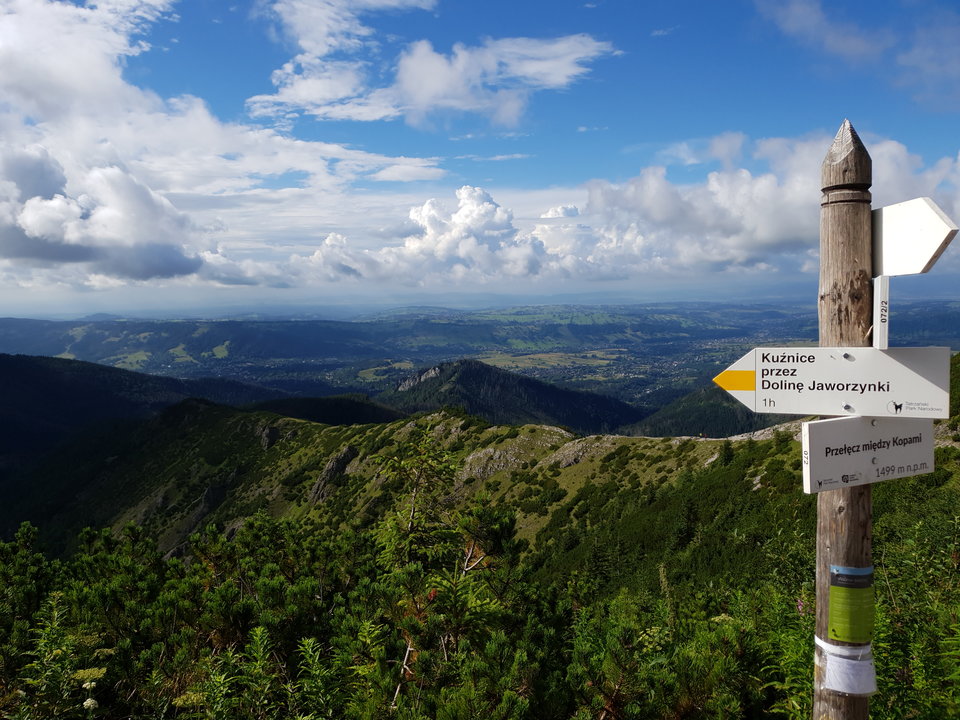 20180726_164221.jpg - ZakazanaStrefa