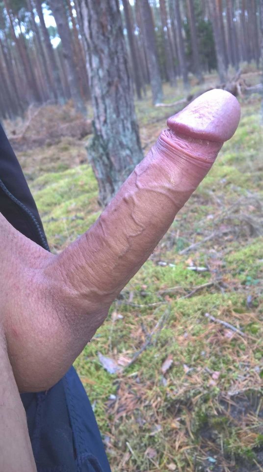 received_2368661599816179.jpeg - Remes2008