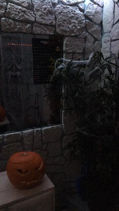 Zapraszamy na HALLOWEEN MARATON w Swngers Clubie LaVa!