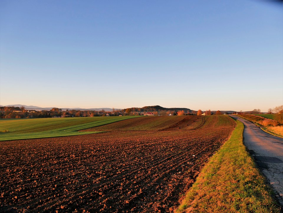 _1060343a.jpg - FoKam431