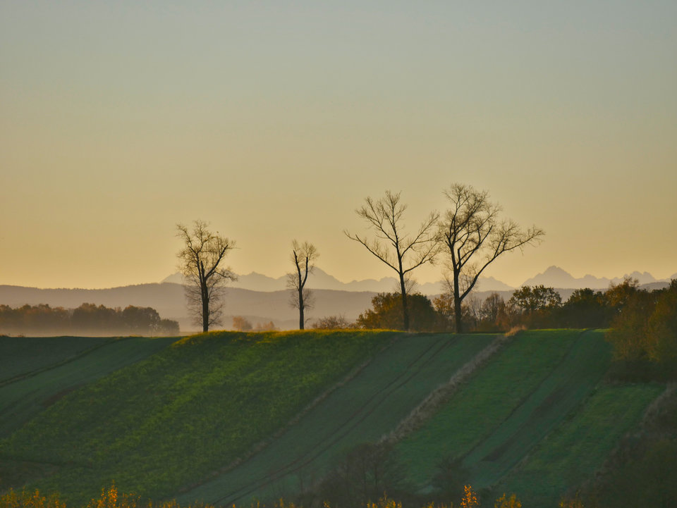 _1060332_01.jpg - FoKam431