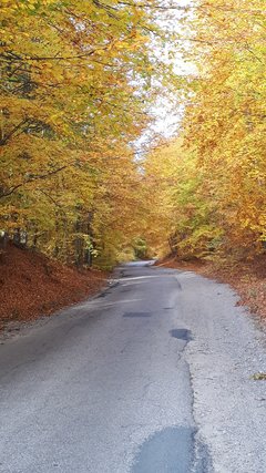 20181102_122222.jpg