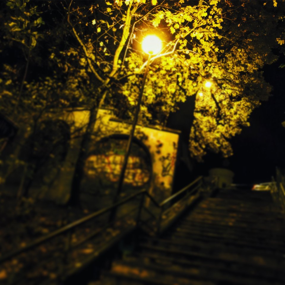 D6084C8B-5394-498F-B515-B89D9B1038C6.jpeg - Mekagojiranogyakushu