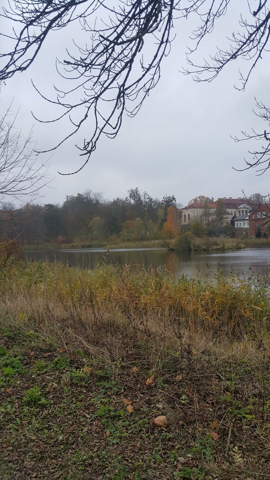 20181101_131117.jpg - reporter13