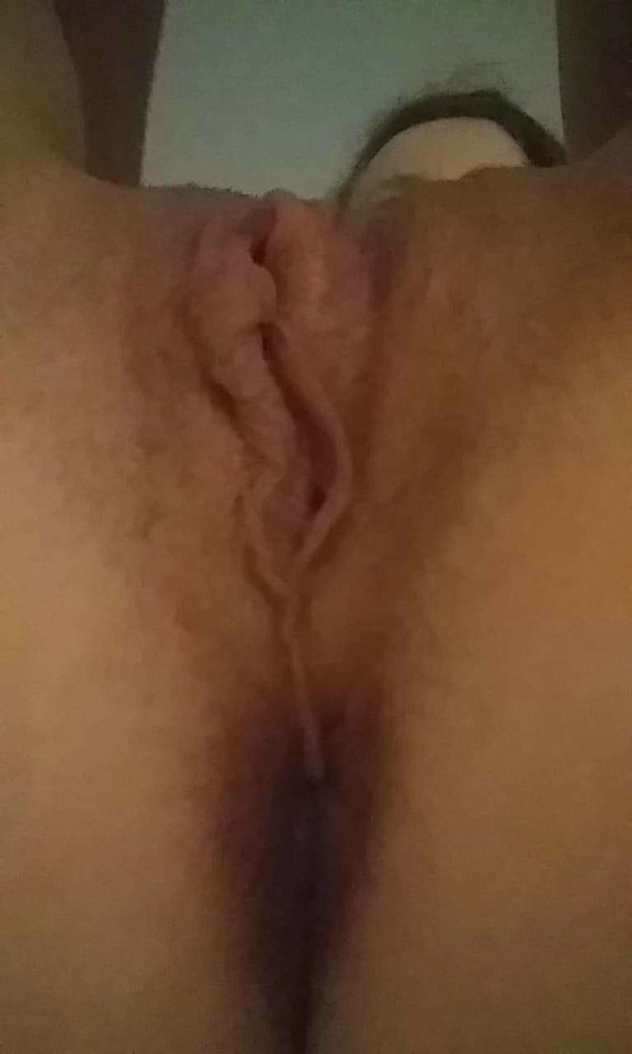 received_248098162553321.jpeg - White_Fox1