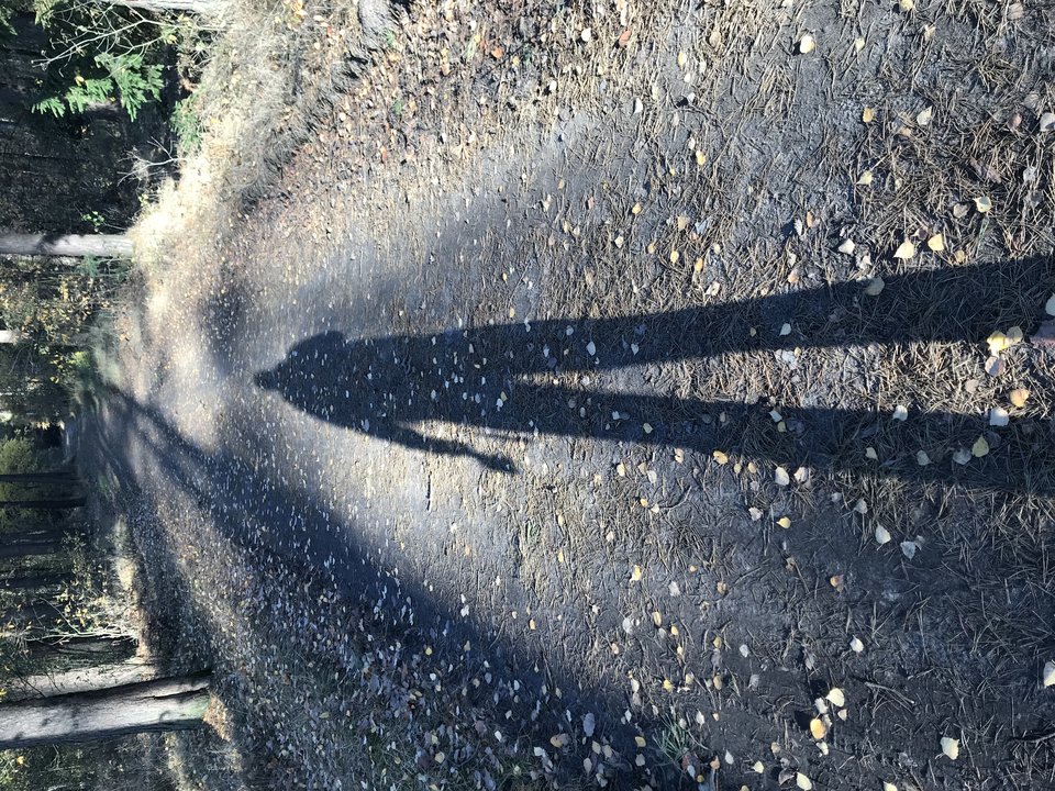 4C50211C-7665-46D7-A27B-1236C38FC5FC.jpeg - pedro411