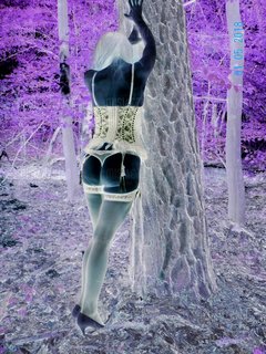 20181106_095026.jpg
