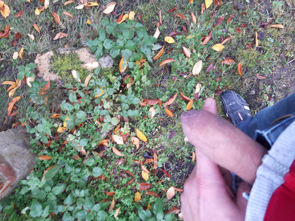 20181103_105752.jpg - Lolek2018