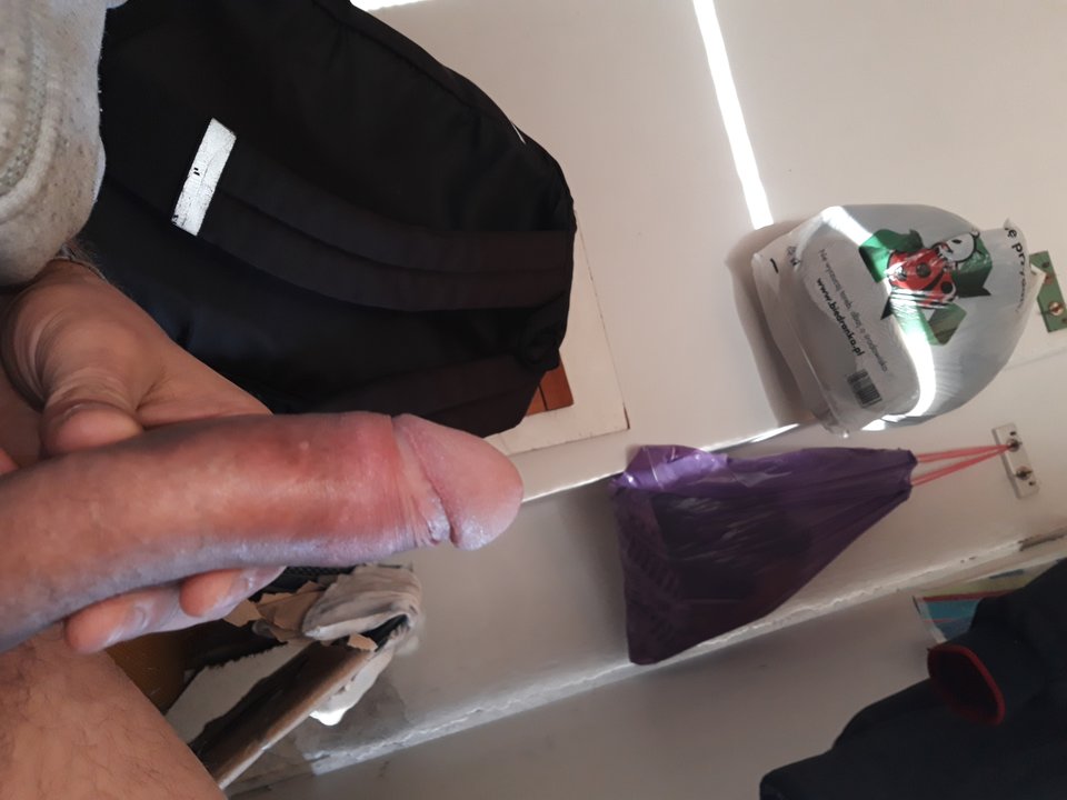15415953754892601708714180592945.jpg - Lolek2018