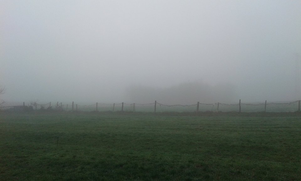 Żeby nie było , że tylko uja widać 😉 - onjakitaki