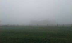 Żeby nie było , że tylko uja widać 😉