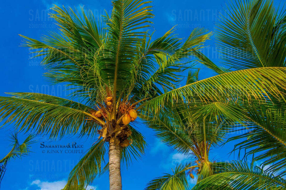 DSC02104.JPG🌴🏖️🌞 - samanthandricc