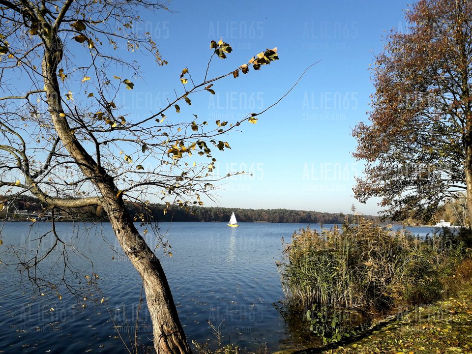 20181106_135213.jpg - Alien65