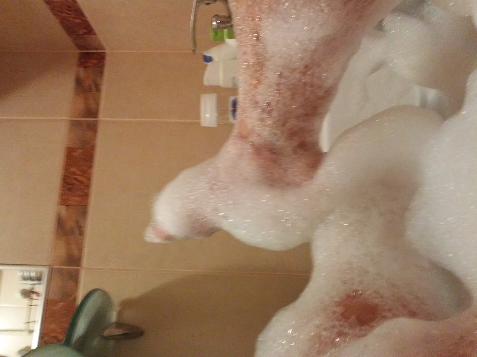 20181111_194531.jpg - Neptunpaw