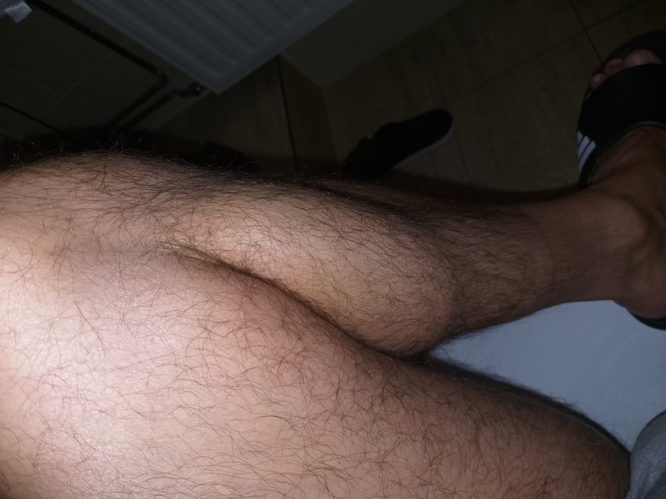 20181112_151647.jpg - sylvanus