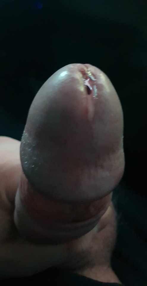 44279917_741906436163488_3707723890861015040_n.jpg - Zminimalizowany