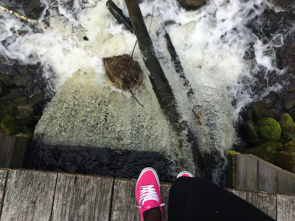 zdjęcie 1-2.JPG - SilentHillMOJE