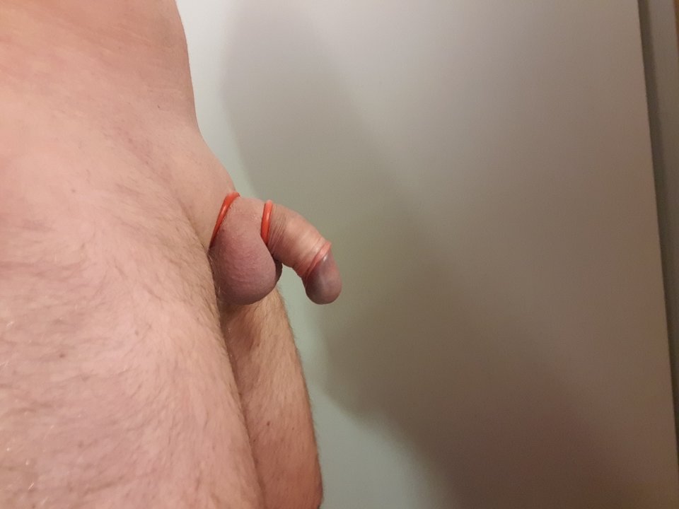 20181116_104706.jpg - jaroo1973