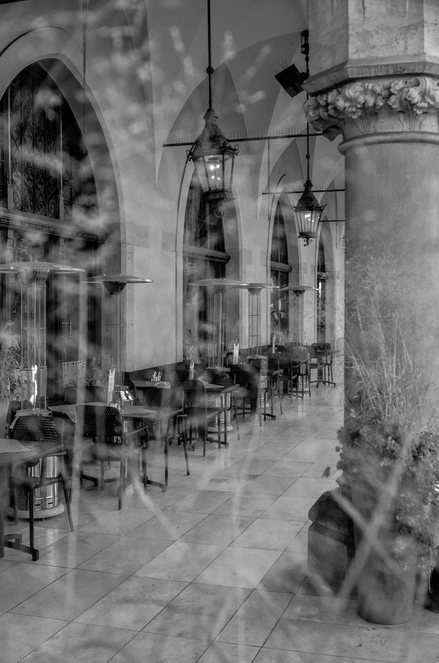 Skurczony ogródek - mystic